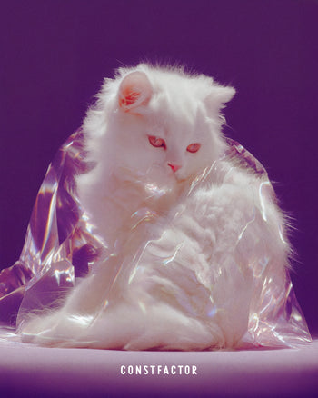 T셔츠【MEOWTAVERSE/PLASTIC SIREN】(7498262)블랙